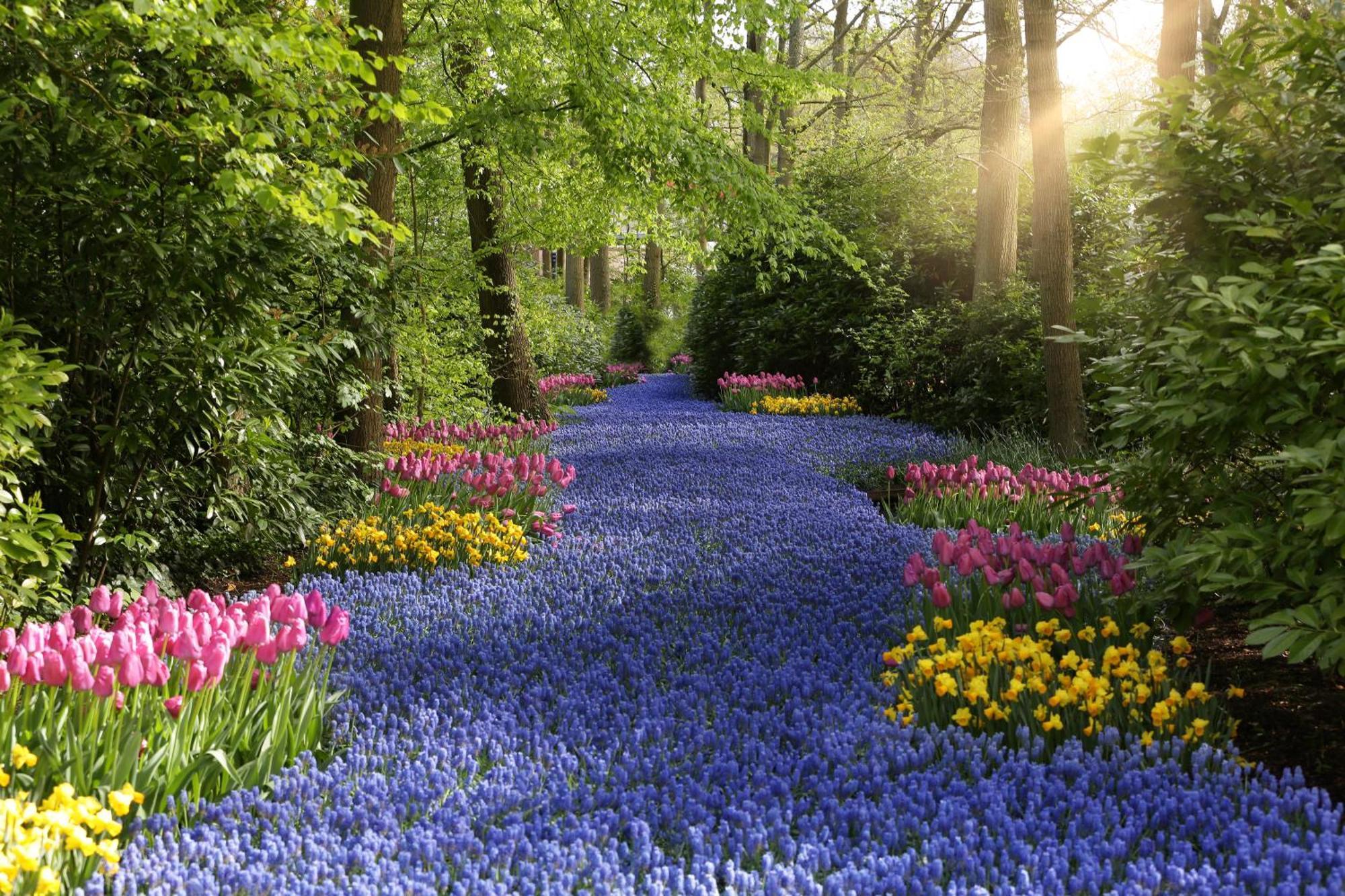 Bungalowverhuur 'T Lappennest โนร์ดวิก ภายนอก รูปภาพ