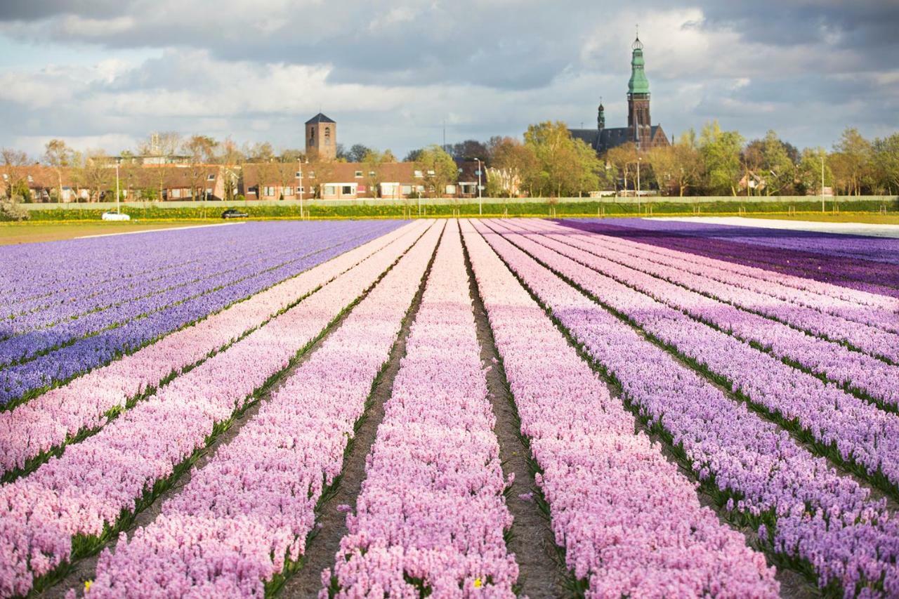 Bungalowverhuur 'T Lappennest โนร์ดวิก ภายนอก รูปภาพ